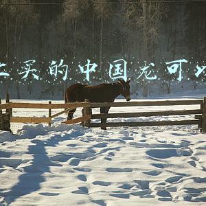 中国有龙吗(文化不同，中西方神话为何都有“龙”？打起来中国龙能赢吗？)