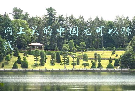 中国哪里有龙(“中国第一龙”，你从哪里来？)