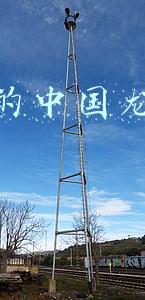 网上买的中国龙可以赚钱