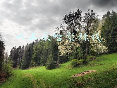 网上买啥能赚钱