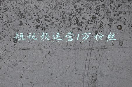 短视频百万粉丝能赚多少钱(她通过短视频赚到了100万)