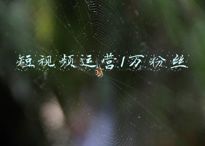 短视频运营1万粉丝