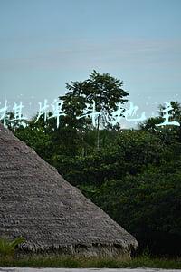 能赚钱的扑克游戏斗地主(途游斗地主暑期打工赚金 喊你该“打工”赚钱啦)