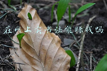 网上卖书法年收入百万(几百元一幅字，有人在抖音上一年卖了1000多万元)