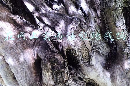 在网上卖书法能赚钱吗