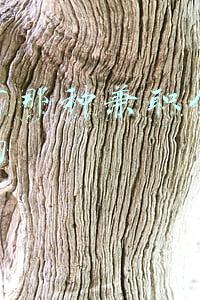网上兼职做题赚钱(悟空问答，让我这个在校大学生，兼职也能月入过万！)
