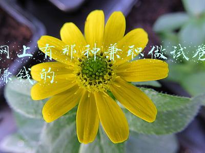 网上有那种兼职做试卷赚钱的