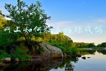 网上如何搞直播赚钱吗