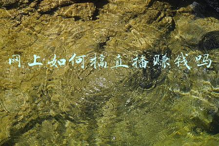 搞号网(抖音账号值多少钱？)