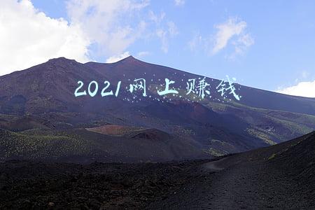 2021网上赚钱