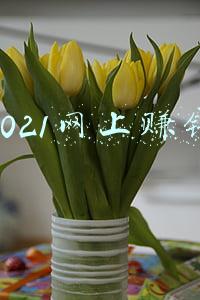 2021网上赚钱