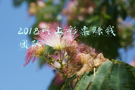 彩票平台赚钱(大街上的彩票站，到底是怎么赚钱的？)