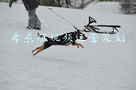 孝感短视频运营策划