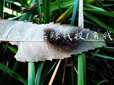 网上彩票赚钱投1角钱
