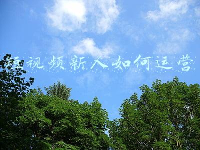 短视频新人如何运营
