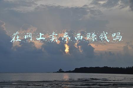 在网上卖东西赚钱吗