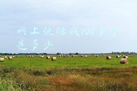 网上说赚钱100多个是多少