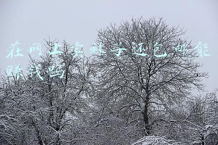 在网上卖袜子还包邮能赚钱吗 在网上卖袜子还包邮能赚钱吗