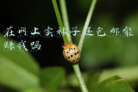 在网上卖袜子还包邮能赚钱吗 在网上卖袜子还包邮能赚钱吗