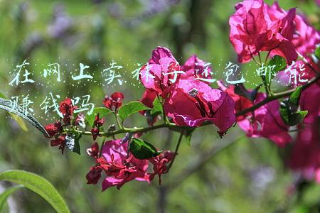 中国袜子批发网(货源网站大集结，先码后看！)