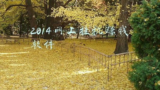 挂机赚钱软件免费版(关于一些网上自动赚钱的软件)