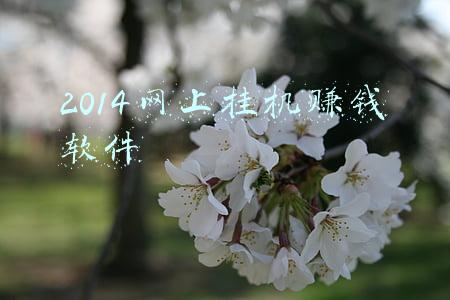 2014网上挂机赚钱软件