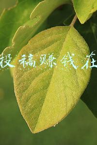 怎样投稿赚钱在网上