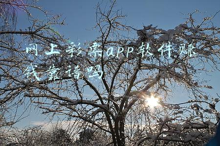 网上彩票软件靠谱吗(切勿轻信彩票网站，纯属放长线钓大鱼)