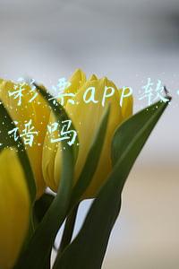 55彩票网app下载网址(77人落网！一女子跳楼自杀牵出大案)