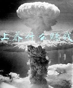 做什么赚钱最快最稳在农村养什么赚钱(在农村，这7个项目可以赚钱，收入很不错，看看怎么做？)
