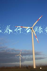 养殖业养什么赚钱快(2021年哪些养殖有钱赚？市场稳定利润高，这6个项目值得看​)