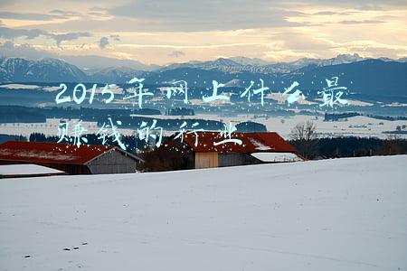2015年网上什么最赚钱的行业