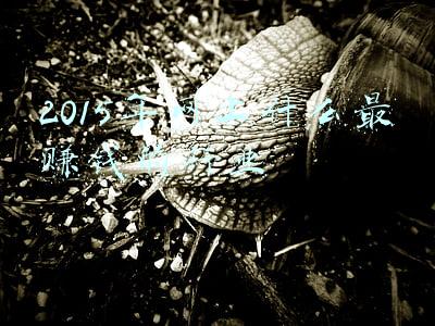网上赚钱行业(成本110却卖7000，一个暴利行业被扒出，有甚者9个月进账9.9亿)