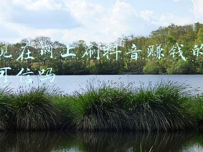 现在网上刷抖音赚钱的可信吗