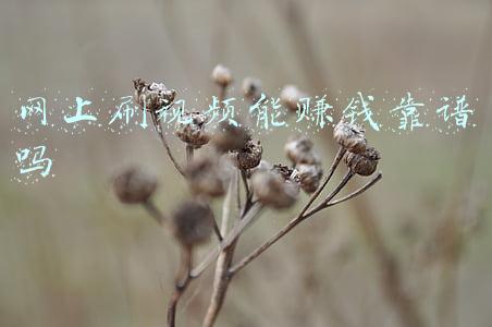 网上刷视频能赚钱靠谱吗