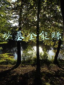 炒股买基金能赚钱吗(炒股买基金有稳赚不赔的方法吗？「打工仔理财」04期)