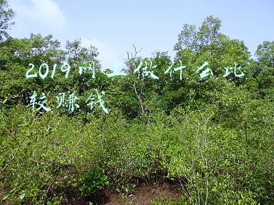 网上做什么最赚钱(网上月入过万的操作方法，适合个人创业的项目)