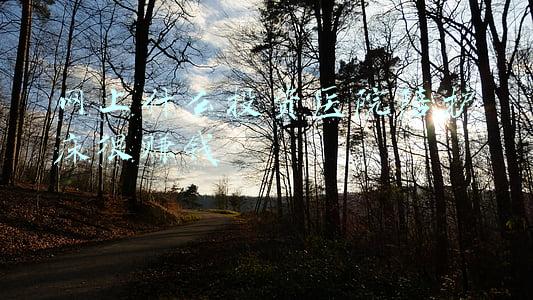 医院陪护床怎么收费(吐槽医院陪护床收费15一晚！脑瓜子真好用)