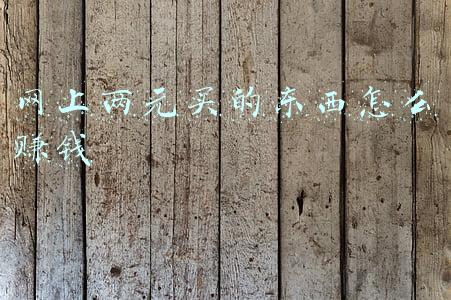 网上两元买的东西怎么赚钱