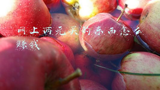 网上两元买的东西怎么赚钱
