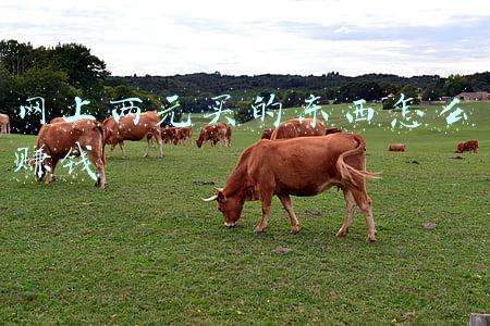 网上两元买的东西怎么赚钱