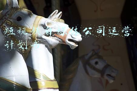 短视频自媒体公司运营计划书