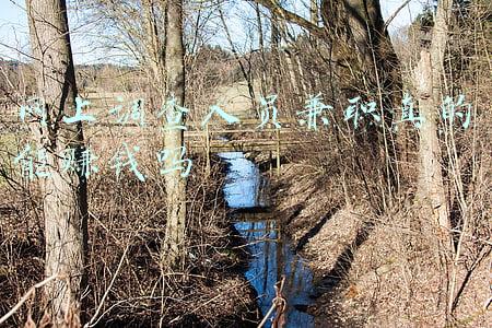 网上调查人员兼职真的能赚钱吗