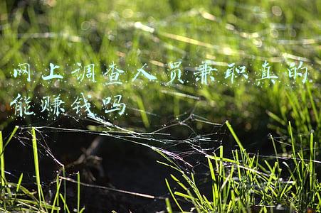 网上调查人员兼职真的能赚钱吗