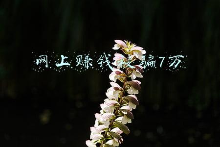 网上赚钱被骗7万