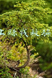 网上交友被骗案例(网上交友10天被骗150万，聊天记录全是套路)