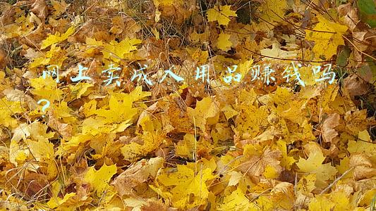 成人自助用品店赚钱吗(冲击“情趣用品第一股”，夫妻三年套现2亿！成人生意有多赚钱？)