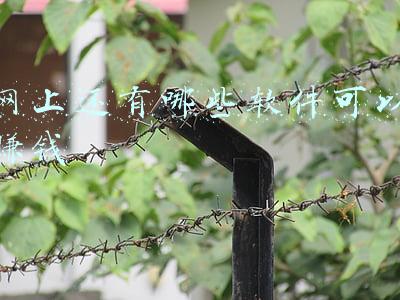 网上还有哪些软件可以赚钱