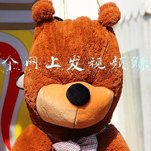 哪个网上发视频赚钱
