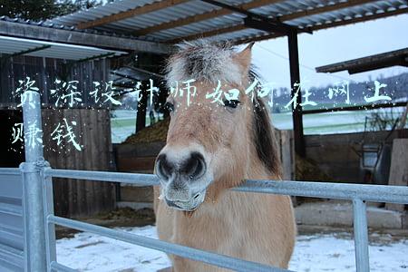 资深设计师如何在网上赚钱